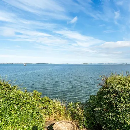 Amazing In Fåborg
